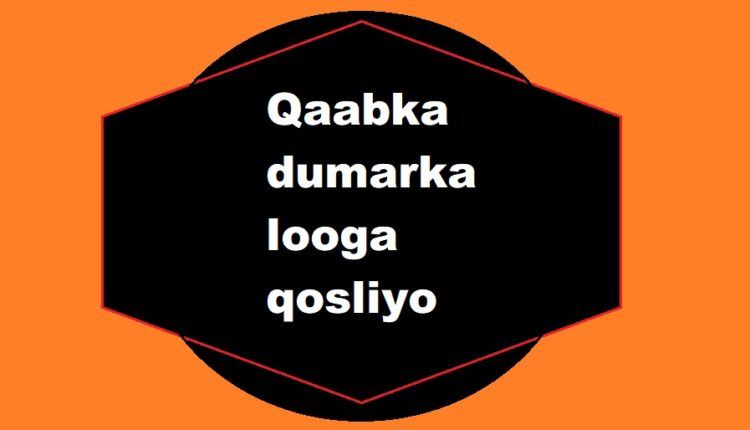 Qaabka dumarka looga qosliyo