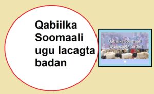 Qabiilka Soomaali ugu lacagta badan