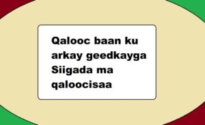 Qalooc baan ku arkay geedkayga Siigada ma qaloocisaa