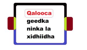 Qalooca geedka ninka la xidhiidha