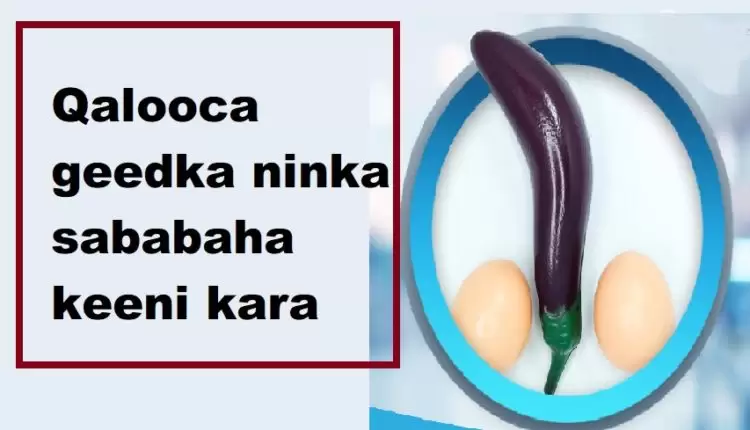 Qalooca geedka ninka sababaha keeni kara