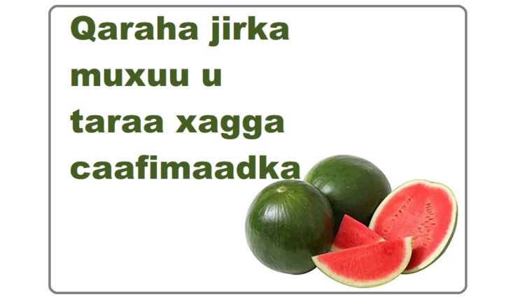 Qaraha jirka muxuu u taraa xagga caafimaadka 0