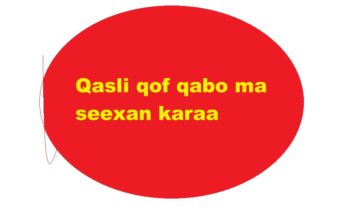 Qasli qof qabo ma seexan karaa