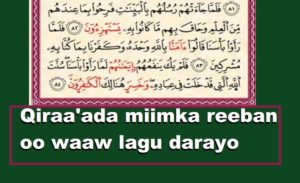 Qiraa'ada miimka reeban oo waaw lagu darayo