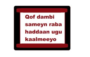 Qof dambi sameyn raba haddaan ugu kaalmeeyo