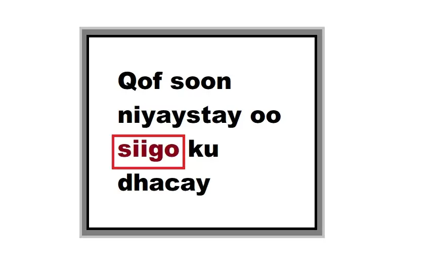 Qof soon niyaystay oo siigo ku dhacay