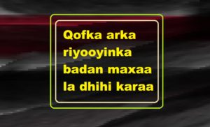 Qofka arka riyooyinka badan maxaa la dhihi karaa