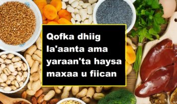 Qofka dhiig la'aanta ama yaraan'ta haysa maxaa u fiican