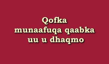 Qofka munaafuqa qaabka uu u dhaqmo