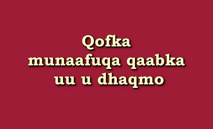 Qofka munaafuqa qaabka uu u dhaqmo