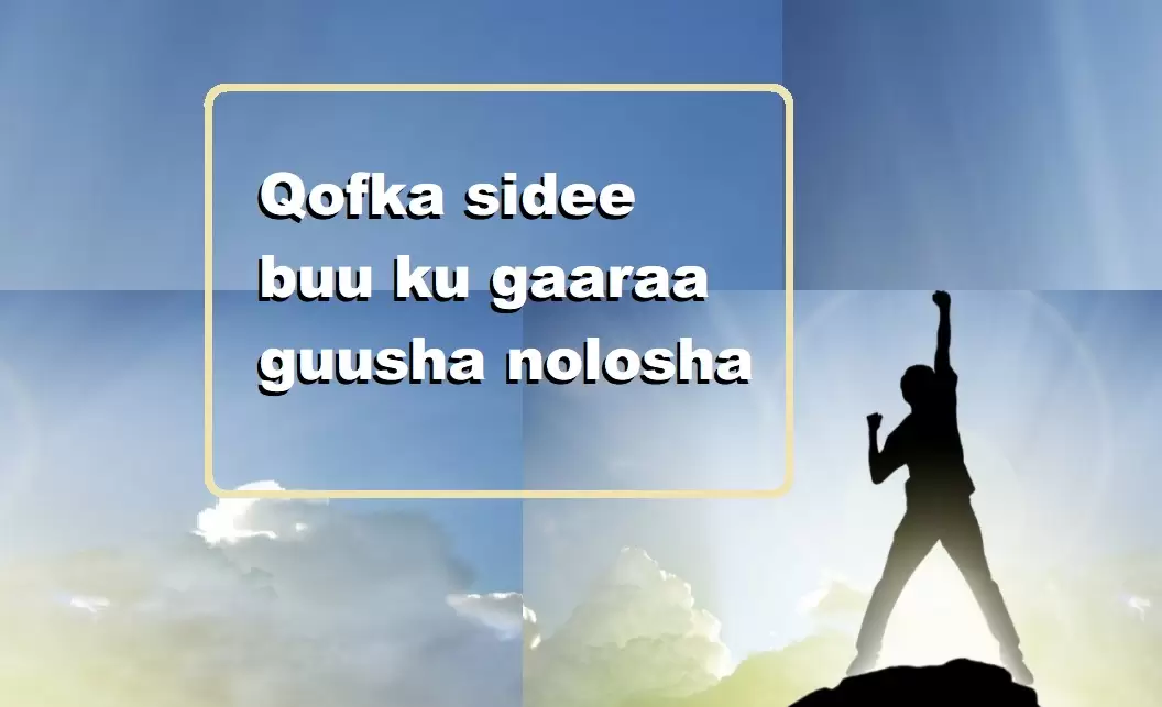Qofka sidee buu ku gaaraa guusha nolosha