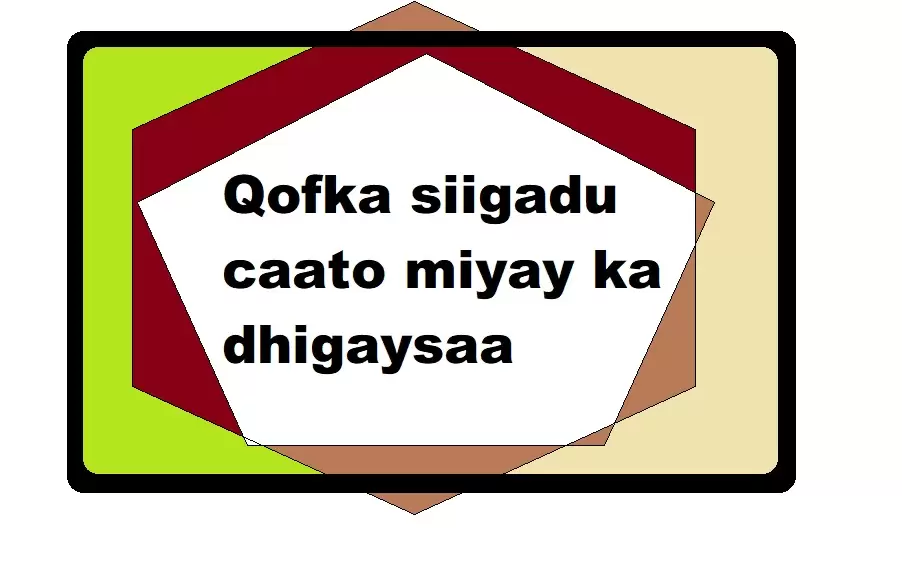 Qofka siigadu caato miyay ka dhigaysaa