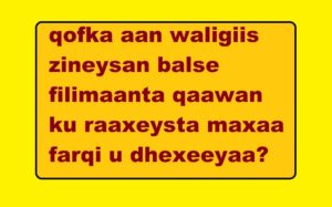 Qofka zineysta iyo qofka aan waligiis zineysan balse filimaanta qaawan ku raaxeysta maxaa farqi u dhexeeyaa?