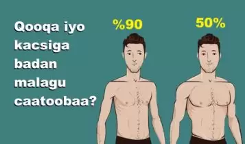 Qooqa iyo kacsiga badan malagu caatoobaa Qooqa iyo kacsiga badan malagu caatoobaa