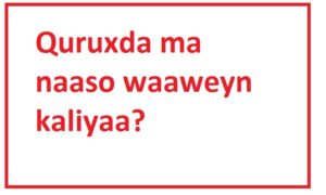 Quruxda ma naaso waaweyn kaliyaa?