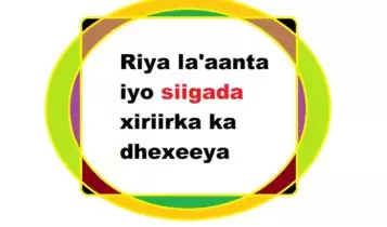 Riya la'aanta iyo siigada xiriirka ka dhexeeya Riya la'aanta iyo siigada xiriirka ka dhexeeya