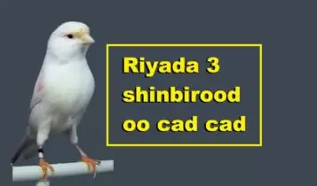 Riyada 3 shinbirood oo cad cad Riyada 3 shinbirood oo cad cad