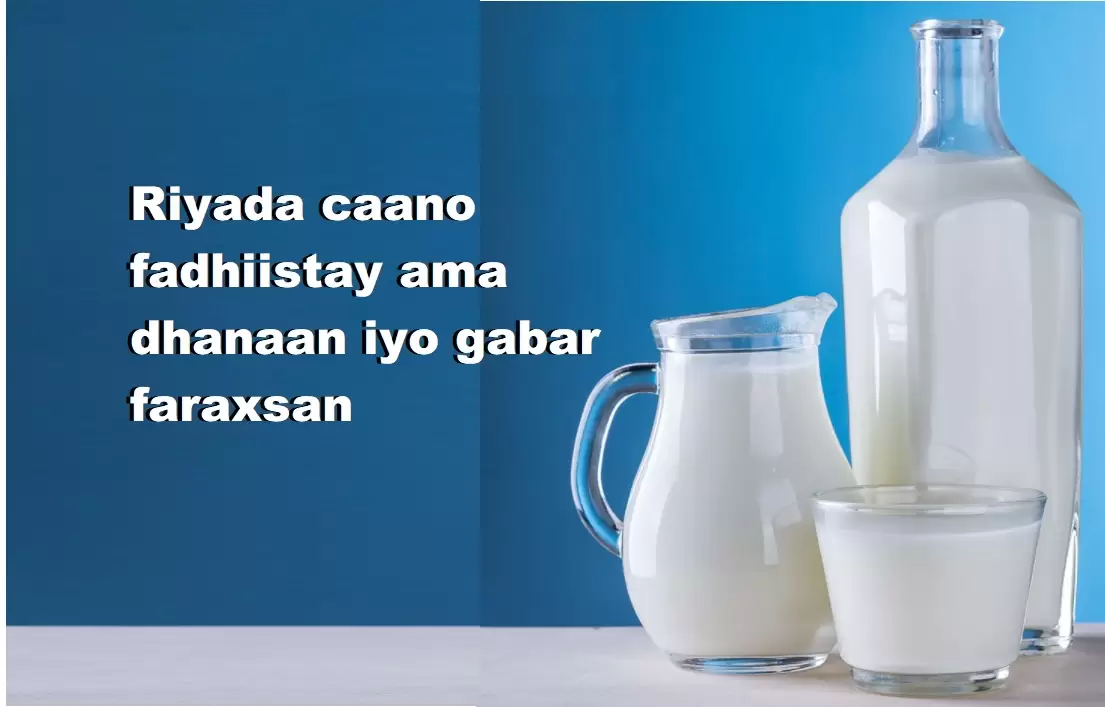 Riyada caano fadhiistay ama dhanaan iyo gabar faraxsan