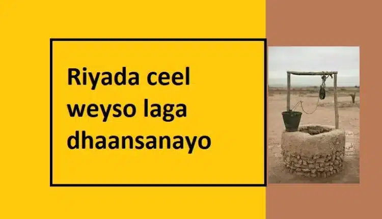 Riyada ceel weyso laga dhaansanayo