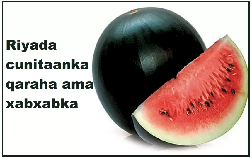 Riyada cunitaanka qaraha ama xabxabka