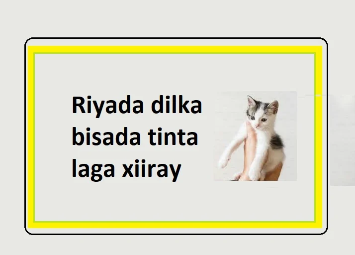 Riyada dilka bisada tinta laga xiiray