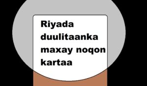 Riyada duulitaanka maxay noqon kartaa