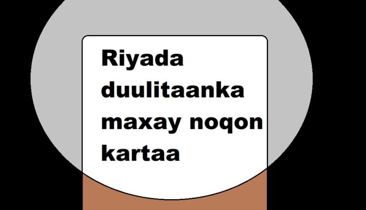 Riyada duulitaanka maxay noqon kartaa