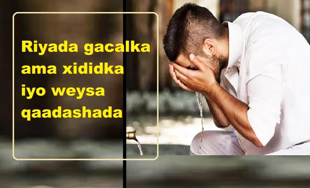 Riyada gacalka ama xididka iyo weysa qaadashada