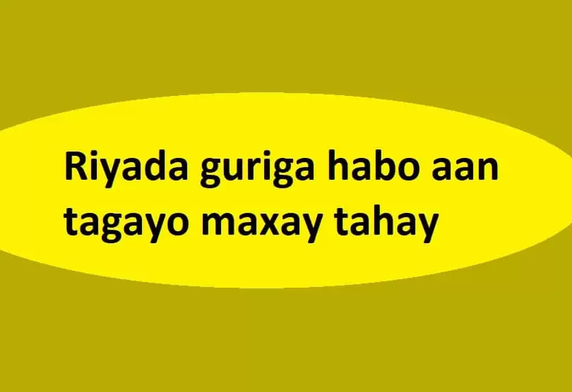 Riyada guriga habo aan tagayo maxay tahay