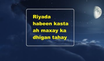 Riyada habeen kasta ah maxay ka dhigan tahay