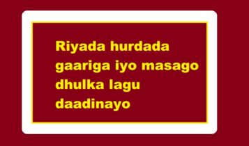 Riyada hurdada gaariga iyo masago dhulka lagu daadinayo