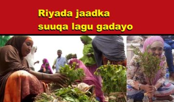 Riyada jaadka suuqa lagu gadayo