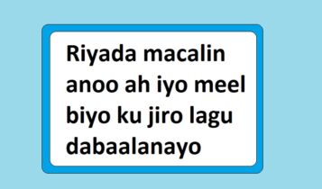 Riyada macalin anoo ah iyo meel biyo ku jiro lagu dabaalanayo