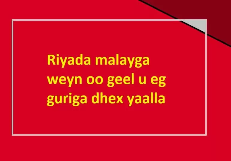 Riyada malayga weyn oo geel u eg guriga dhex yaalla