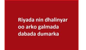 Riyada nin dhalinyar oo arko galmada dabada dumarka