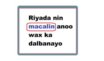 Riyada nin macalin anoo wax ka dalbanayo