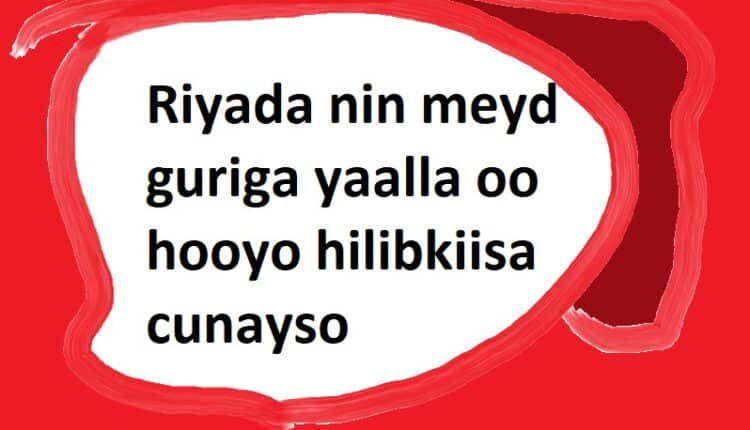 Riyada nin meyd guriga yaalla oo hooyo hilibkiisa cunayso