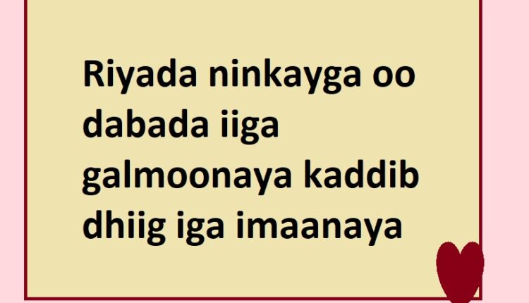 Riyada ninkayga oo dabada iiga galmoonaya kaddib dhiig iga imaanaya