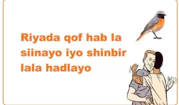 Riyada qof hab la siinayo iyo shinbir lala hadlayo Riyada qof hab la siinayo iyo shinbir lala hadlayo