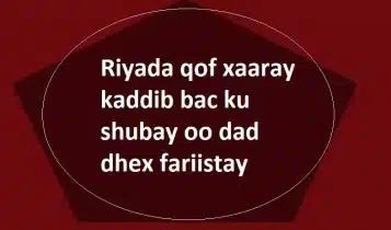 Riyada qof xaaray kaddib bac ku shubay oo dad dhex fariistay