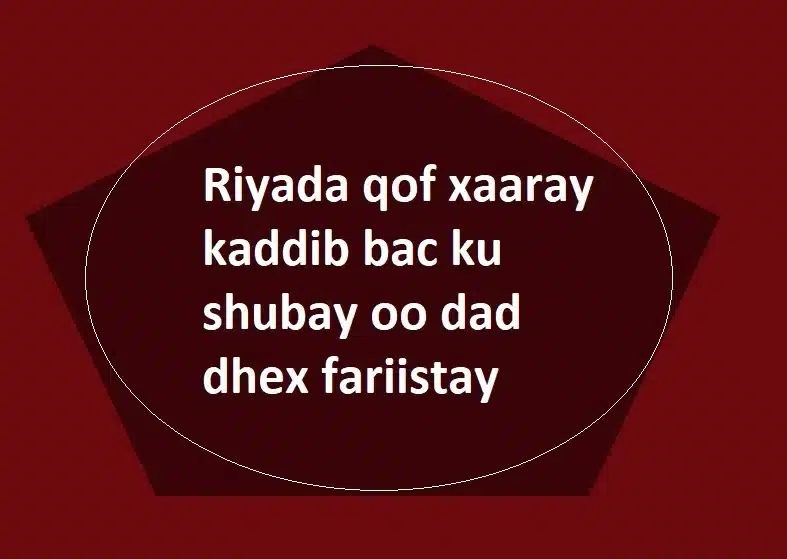 Riyada qof xaaray kaddib bac ku shubay oo dad dhex fariistay