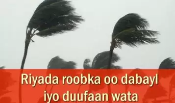 Riyada roobka oo dabayl iyo duufaan wata