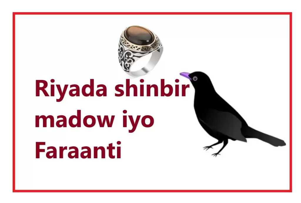 Riyada shinbir madow iyo Faraanti