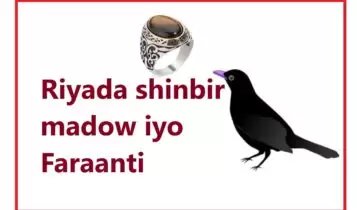 Riyada shinbir madow iyo Faraanti