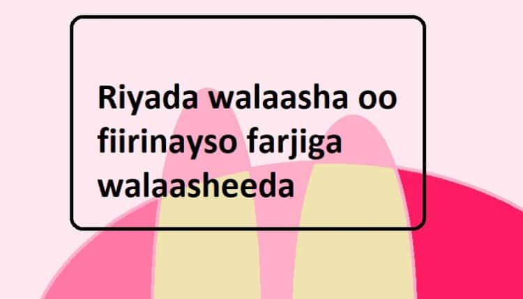 Riyada walaasha oo fiirinayso farjiga walaasheeda