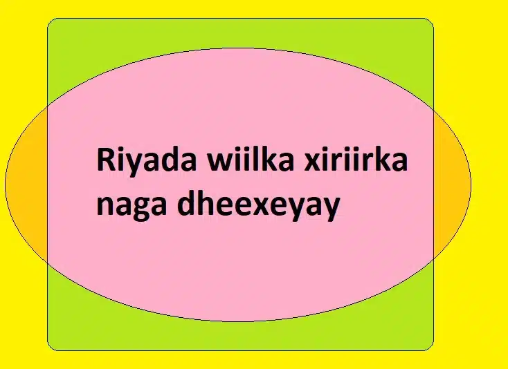 Riyada wiilka xiriirka naga dheexeyay