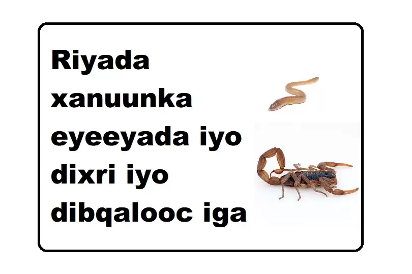 Riyada xanuunka eyeeyada iyo dixri iyo dibqalooc iga soo daadanaya