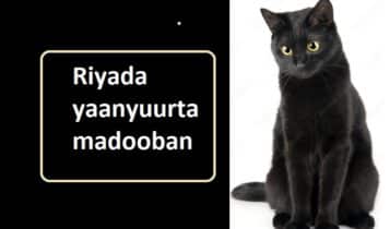 Riyada yaanyuurta madooban