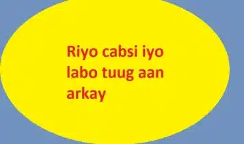 Riyo cabsi iyo labo tuug aan arkay