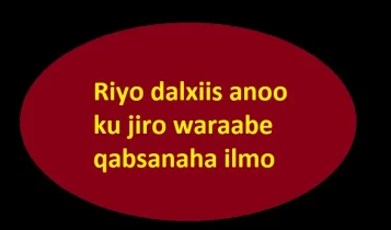 Riyo dalxiis anoo ku jiro waraabe qabsanaha ilmo